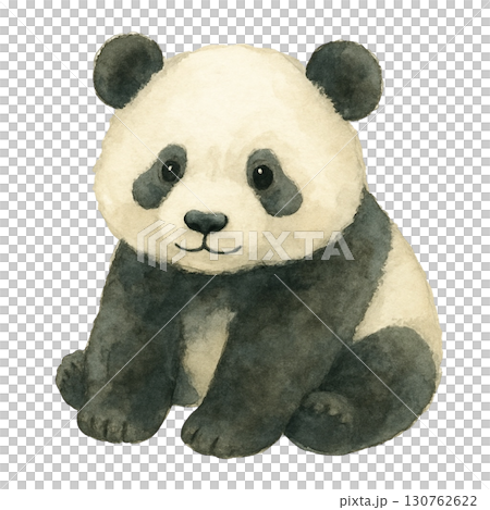 【動物】パンダのイラスト 130762622