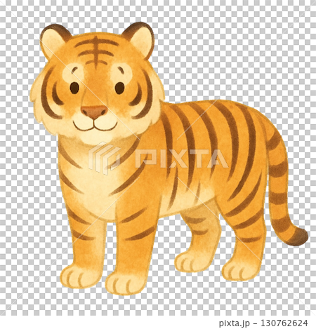 【動物】トラのイラスト 130762624