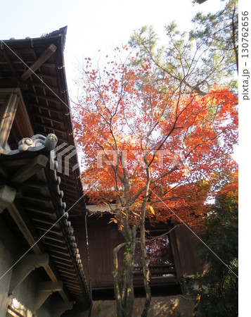 2014年・香川・観音寺・八幡・風景・琴引公園・其の十 2014年・香川・観音寺・八幡・風景・琴引公園・其の十 130762656