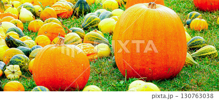ハロウィンパーティー用のたくさんのお化けかぼちゃ ハロウィンパーティー用のたくさんのお化けかぼちゃ 130763038