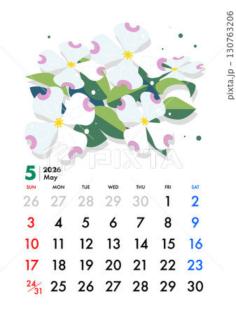2026年, カレンダー,5月,ハナミズキ 130763206