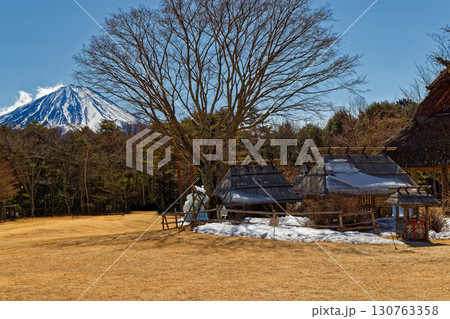 西湖野鳥の森公園のから見る富士山 130763358