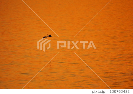 荒尾市　有明海　海岸　元旦の夕暮れ、 130763482