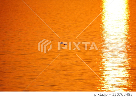 荒尾市　有明海　海岸　元旦の夕暮れ、 130763483