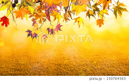 nature autumn background with yellow and orange autumn leaves nature autumn background with yellow and orange autumn leaves 130764563
