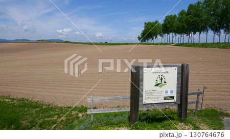 丘と畑の風景 130764676