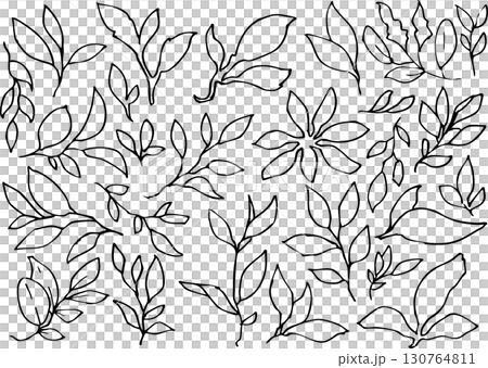 Leaf, simple line drawing illustration of tree leaves, vector Leaf, simple line drawing illustration of tree leaves, vector 130764811