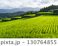 坂元棚田　宮崎県日南市 130764855