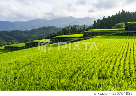 坂元棚田　宮崎県日南市 130764855