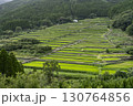 坂元棚田　宮崎県日南市 130764856