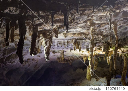 秋芳洞内部の鍾乳洞 秋芳洞内部の鍾乳洞 130765440