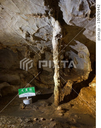 秋芳洞の大黒柱 130765442