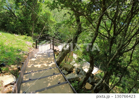 静岡県・伊豆の国市・伊豆パノラマパーク・フォレストウォーク 130766423