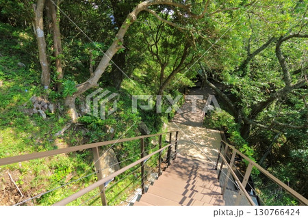 静岡県・伊豆の国市・伊豆パノラマパーク・フォレストウォーク 130766424