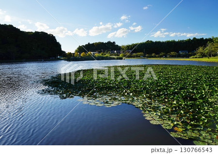 ＜千葉県＞大百池公園（千葉市緑区） 130766543