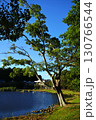 ＜千葉県＞大百池公園（千葉市緑区） 130766544