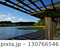 ＜千葉県＞大百池公園（千葉市緑区） 130766546