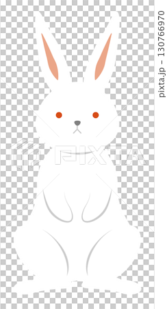 Frontal rabbit 130766970