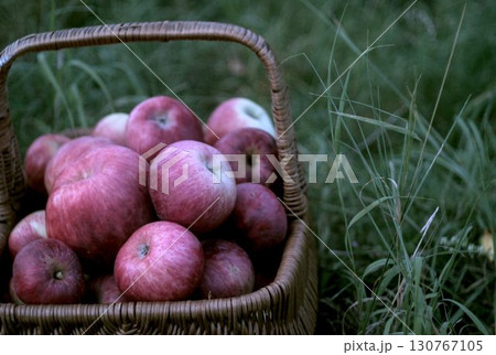 basket with apples 130767105