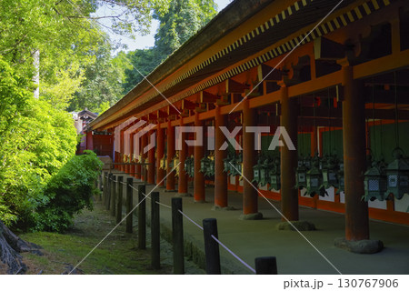 奈良県にある世界遺産 春日大社の回廊 130767906
