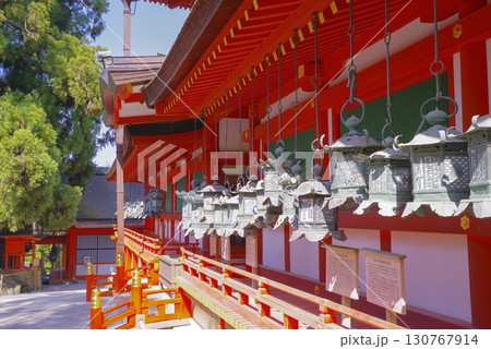 奈良県にある世界遺産 春日大社の釣灯籠 130767914