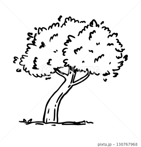 Leafy tree 130767968