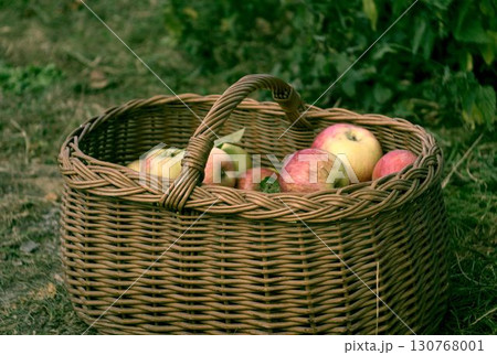 basket of apples basket of apples 130768001