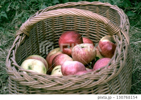 basket with apples basket with apples 130768154