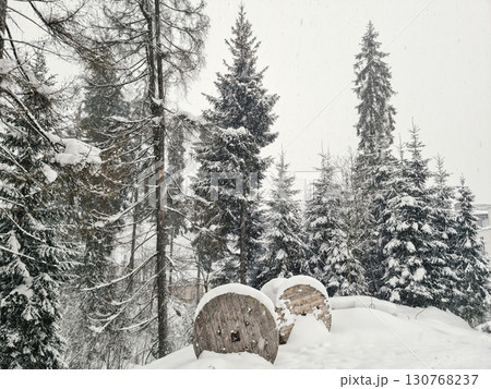 Winter landscape with spruce forest, discarded large cable wooden coils 130768237