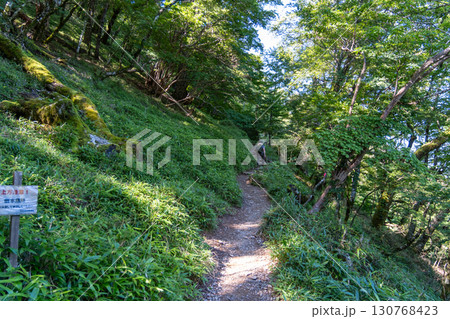 【日本百名山】剣山　真夏の登山道1　徳島県三好市 130768423