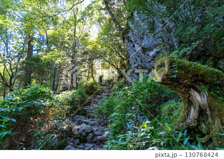 【日本百名山】剣山　真夏の登山道2　徳島県三好市 130768424