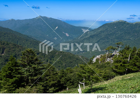 【日本百名山】剣山　真夏の登山道から見た三嶺と四国山地　徳島県三好市 130768426