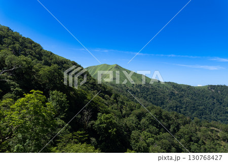 【日本百名山】剣山　真夏の登山道から見た次郎笈　徳島県三好市 130768427
