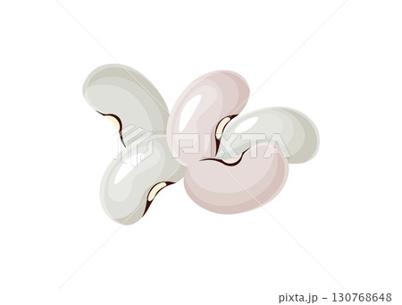 White kidney beans stock illustration 130768648