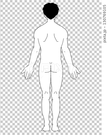 Anatomical upright position, male, back, line drawing, with hair 130769105