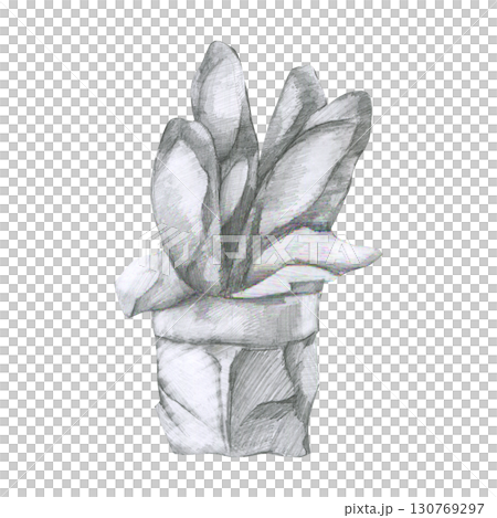 Bakery graphics hand drawn illustration. Pencil baguette clipart in package, fresh bread painting, black and white line art for shop label,logo, packing design 130769297