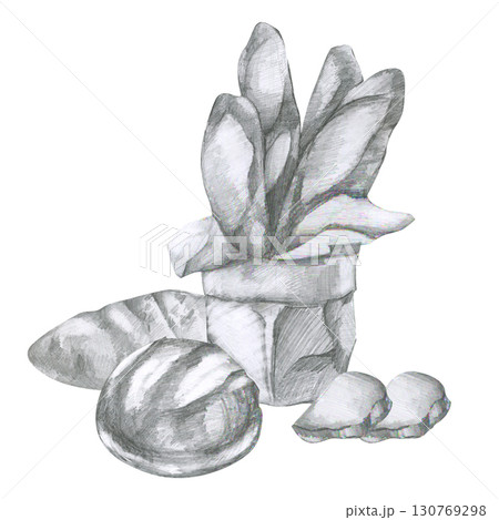 Fresh bread pencil illustration. Hand drawn bakery product painting, baguette sticks,loaf and slices clipart. Pastry black and white silhouette for for bake product label,logo design Fresh bread pencil illustration. Hand drawn bakery product painting, baguette sticks,loaf and slices clipart. Pastry black and white silhouette for for bake product label,logo design 130769298