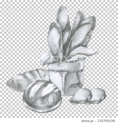 Fresh bread pencil illustration. Hand drawn bakery product painting, baguette sticks,loaf and slices clipart. Pastry black and white silhouette for for bake product label,logo design 130769298