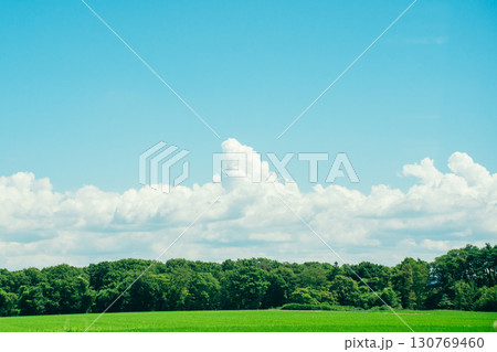 夏の青空と田んぼ　田舎の風景　入道雲 130769460