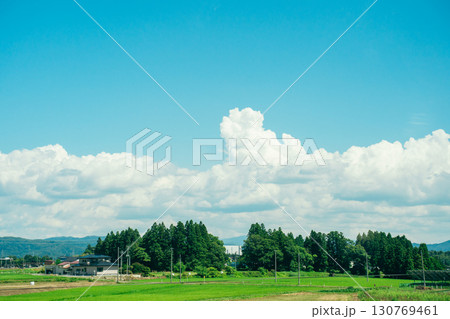 夏の青空と田んぼ　田舎の風景　入道雲 130769461