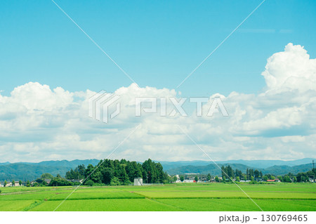 夏の青空と田んぼ　田舎の風景　入道雲 130769465