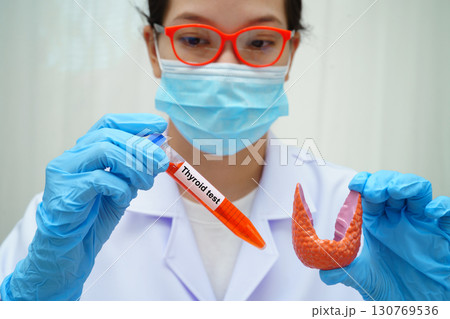Doctor holding thyroid gland model and blood sample test tube in laboratory. 130769536