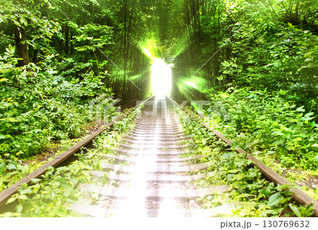 Railroad leading to rays of bright light among the trees 130769632