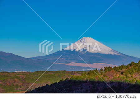 【静岡県函南町】丹那盆地越しに見る富士山 130770218