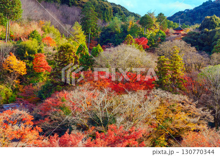紅葉に彩られた清水寺の子安の塔 紅葉に彩られた清水寺の子安の塔 130770344