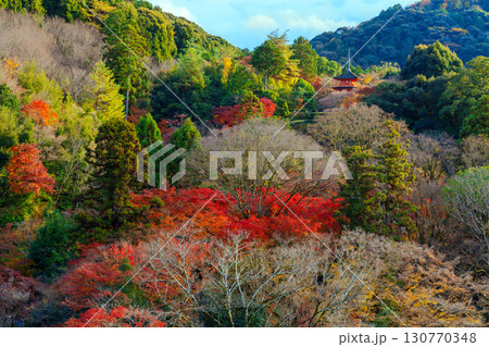 紅葉に彩られた清水寺の子安の塔 紅葉に彩られた清水寺の子安の塔 130770348