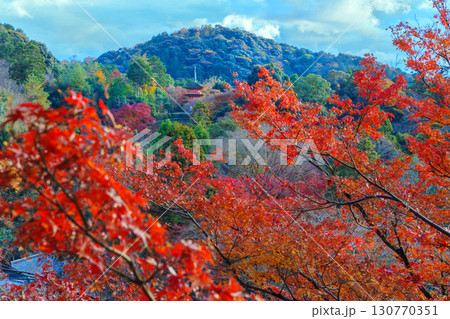 紅葉に彩られた清水寺の子安の塔 紅葉に彩られた清水寺の子安の塔 130770351