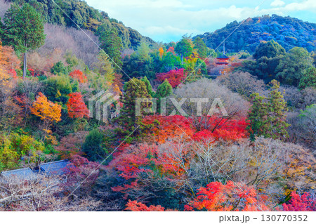 紅葉に彩られた清水寺の子安の塔 130770352