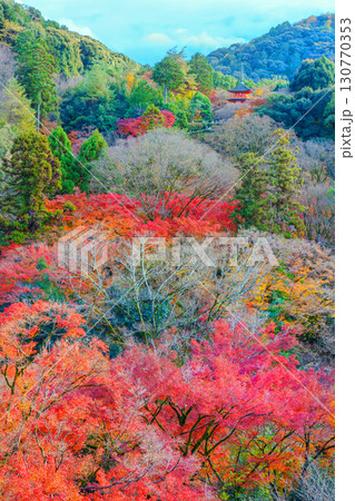 紅葉に彩られた清水寺の子安の塔 130770353