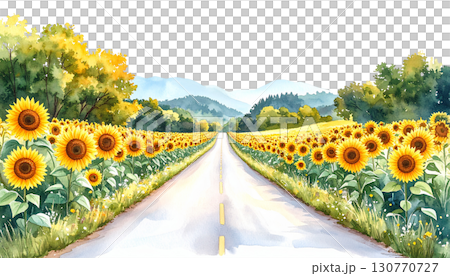 sunflower 130770727